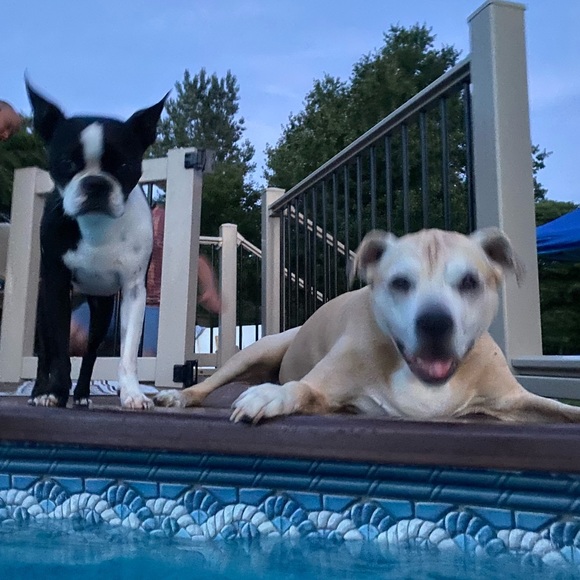 Meet your Posher, Kathy - Picture 6 of 12